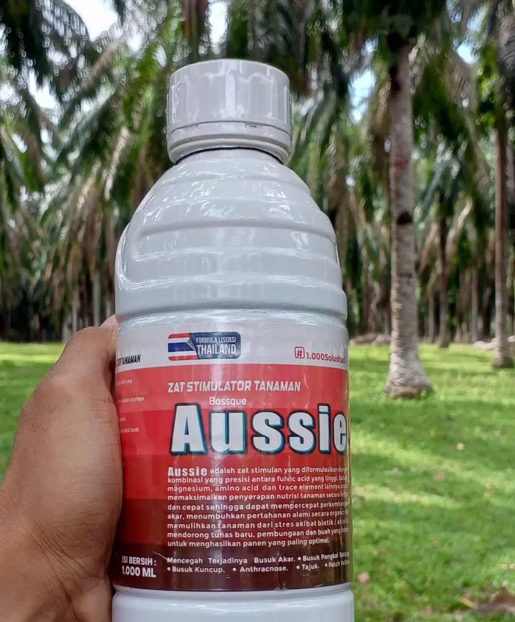 Distributor Aussie Riau