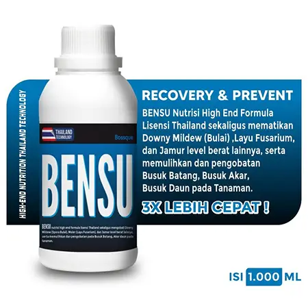 Produk Bensu Aussie Riau
