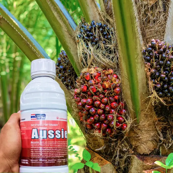 Produk Aussie Riau